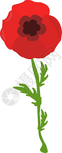 白色背景上的红色婚礼绘画叶子玫瑰绿色植物艺术花束水彩背景图片