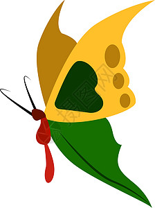 白色背景上的绿色艺术风格昆虫蝴蝶翅膀装饰黄色动物背景图片