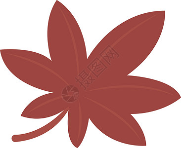 白色背景上的红色网络季节叶子植物植物学背景图片