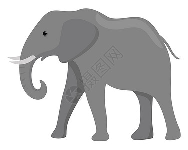 白色背景上的大象黑色哺乳动物力量动物园动物群野生动物艺术荒野绘画獠牙背景图片