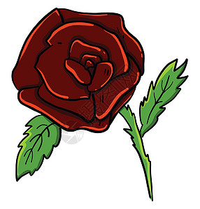 白色背景上的红玫瑰卡片花瓣叶子婚礼花园插图红色植物背景图片
