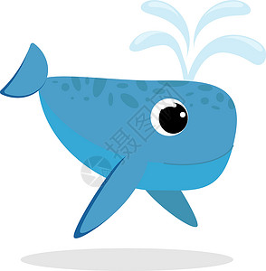 鲸鱼扁平矢量图眼球动物园卡通片快乐乐趣插图野生动物艺术背景图片