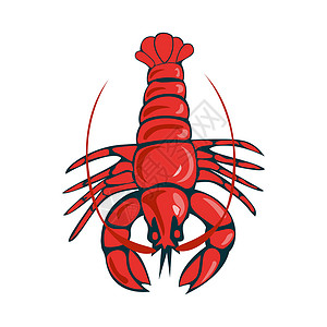 野生虾白色背景上的红煮龙虾插画
