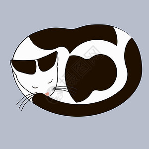 连体睡猫草图插图尾巴姿势宠物艺术哺乳动物圆圈绘画小憩设计图片
