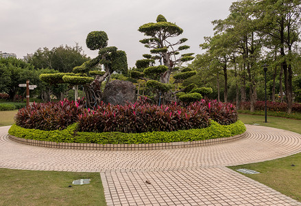 夏门拜州公园神职最高官园艺植物植物学花园衬套旅游公园盆栽绿色花朵背景图片