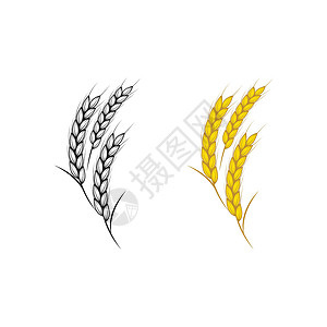 农业水稻病媒图标插图产品农场文化面包植物角膜营养美食金子粮食背景图片