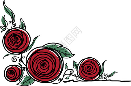 芬芳红色月季花它制作图案白色背景上的月季花设计图片