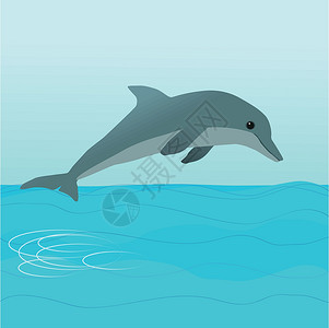龟波气功素材海豚游泳哺乳动物海洋犊牛蓝色奶牛动物插图波浪柏科插画