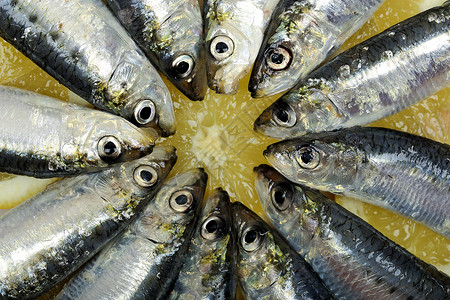 沙丁鱼海洋食物宏观海鲜饮食钓鱼灰色眼睛烹饪尾巴市场高清图片素材