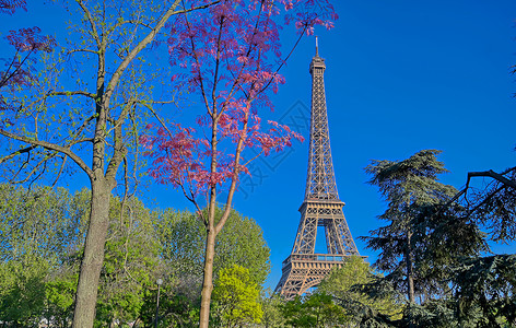 法国巴黎埃菲尔铁塔天际建筑首都旅游城市建筑学地标旅行背景图片