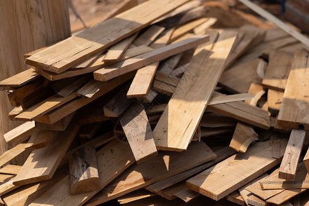 木头堆在地板上野生动物高清图片素材