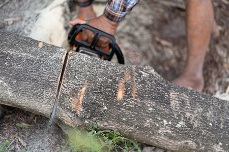 伐木工人户外工业的高清图片