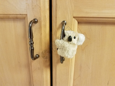 小考拉熊在柜门把手上动物木头内阁橱柜野生动物背景