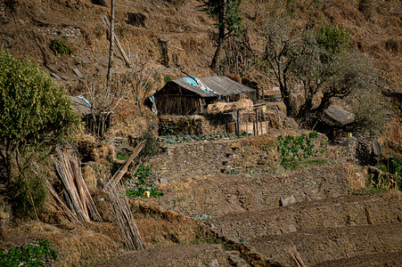 孔戈尼文化尼泊尔庆祝当地文化高清图片