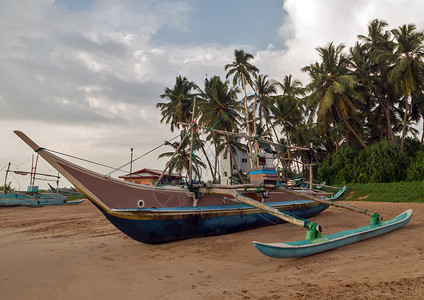 捕捉印度鱼 渔船和渔船冒险小船海岸线渔港旅游运输绳索码头渔夫港口斯里高清图片素材