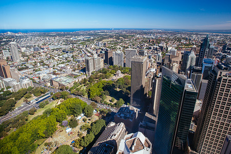 悉尼东向海德公园的空中景象摩天大楼港口城市码头市中心天空建筑学天线旅游植物海洋高清图片素材