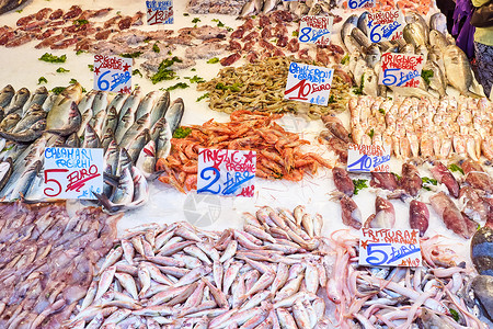 出售的鱼和海鲜销售乌贼渔业鲭鱼美食饮食钓鱼棕褐色市场海洋肉高清图片素材