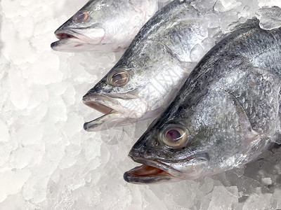 白鲷鱼生新鲜白鲷鱼冷冻在超市选择性焦点海洋海鲜动物营养烹饪食物饮食钓鱼市场美食抓住高清图片素材