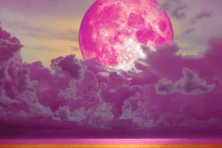 超级粉红满月 回洋面的紫红云背景图片
