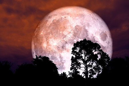 红色血月背影树之夜红天月球地平线血月海景月亮月光天空反射风景日落背景图片