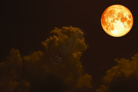 在月光云夜空上 返回的超级满血月墙纸月亮月光血月日落地平线风景海浪天空月球背景图片