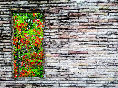 裂纹砖墙和红花绿树背景图片