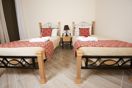 卧室中的双床陈列室枕头软垫毯子装饰风格床头板设计双胞胎背景图片