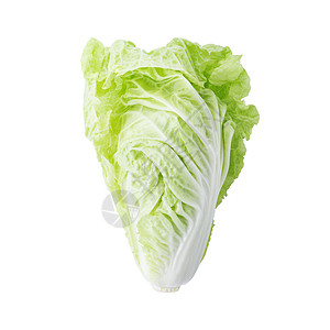白色背景的中国新菜卷心菜 孤立于白底食物树叶沙拉蔬菜绿色叶子背景图片