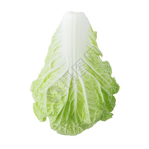 白色背景的中国新菜卷心菜 孤立于白底沙拉叶子蔬菜绿色食物树叶背景图片