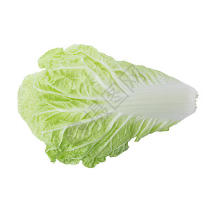白色背景的中国新菜卷心菜 孤立于白底蔬菜叶子树叶沙拉食物绿色背景图片