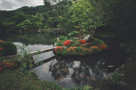 日式石质园和湖鱼 含绿色岩石全景衬套植物寺庙石头建筑学树叶文化池塘背景图片