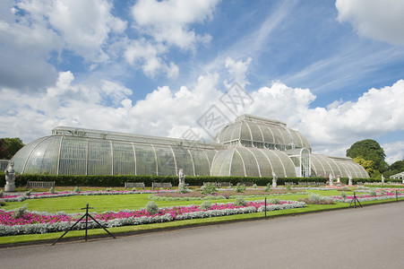 公共公园中的大型玻璃屋公园蓝色花园天空绿色花朵园艺植物背景图片