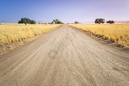 远点在非洲旅行和自驾公路旅行期间 纳米比亚附近长满草的纳米比亚稀树草原砾石路 显示地平线 无限点和戏剧性的黄金时段背景
