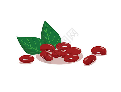 红色豆子孤立在白色背景上的红芸豆字体豆类营养扁豆食物粮食农业坚果水果种子插画
