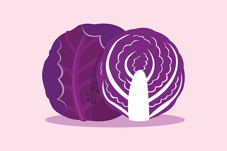 花青素紫色背景上孤立的紫色卷心菜蔬菜花园美食植物菜花食物收成饮食烹饪营养插画