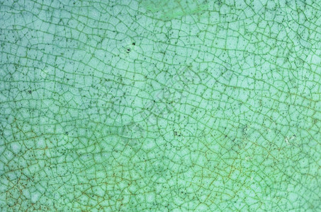 绿色裂纹纹理青瓷背景图片素材