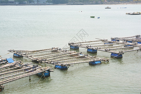 养鱼业苗圃渔业养殖贝类天堂食物生产商业海水风景背景