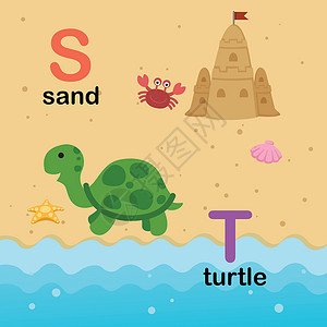 美国生孩子字母表字母 S-沙子 T-turtl设计图片