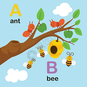 美国生孩子字母表字母 A-ant B-be设计图片