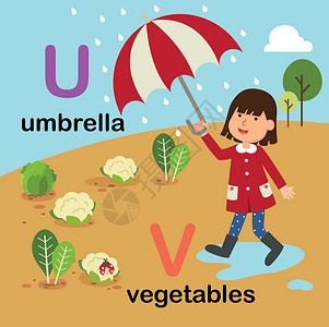 小女孩手拿蔬菜英文字母 U-伞 V-蔬菜设计图片