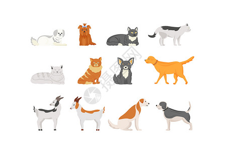 很多颜色的猫家养动物平面颜色矢量字符 se插画