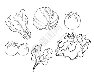 爆炒卷心菜蔬菜绘制矢量图菜单绘画黑色洋葱铅笔草图柠檬收藏食物水彩设计图片