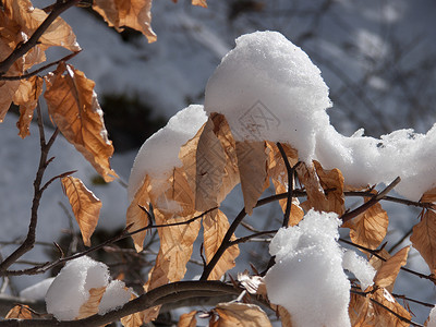 月经寒冬冰霜天气季节背景图片