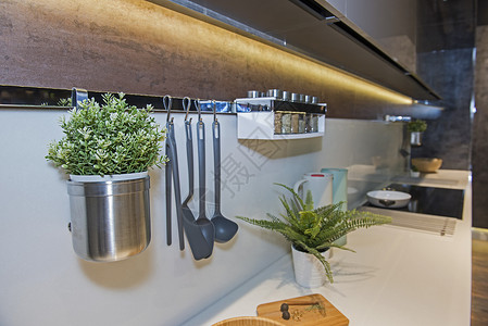 在豪华公寓的现代厨房植物炉灶装饰品家具柜台钢包台面展示奢华调料背景图片