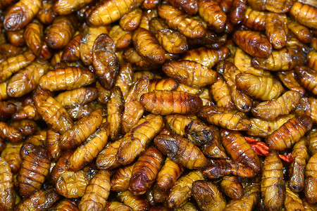 曼谷的炒虫蚁后蝎子市场街道情调异国小吃昆虫漏洞营养背景