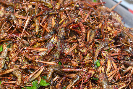 曼谷的炒虫小吃市场街道蝎子异国营养昆虫情调竹虫蚁后背景