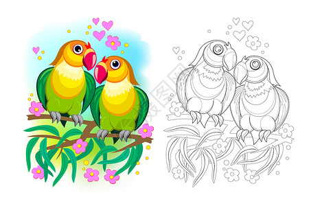 白首不离一对浪漫的鹦鹉情侣的幻想插图 用于着色书的彩色和黑白页面 热带鸟类 儿童教科书的可打印工作表 平面卡通矢量插画