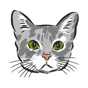 草图的猫家养猫矢量插图的肖像卡片鼻子卡通片小猫眼睛艺术猫咪艺术品耳朵动物插画