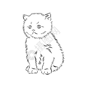猫手绘矢量孤立的素描图素描它制作图案风格墨水艺术装饰手工宠物卡片小猫艺术品中风背景图片