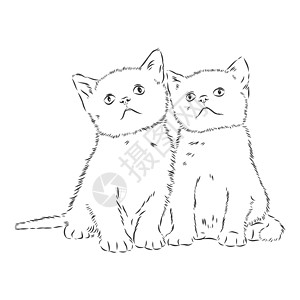 猫手绘矢量孤立的素描图素描它制作图案手工毛皮猫咪涂鸦夹子书法墨水中风风格艺术背景图片